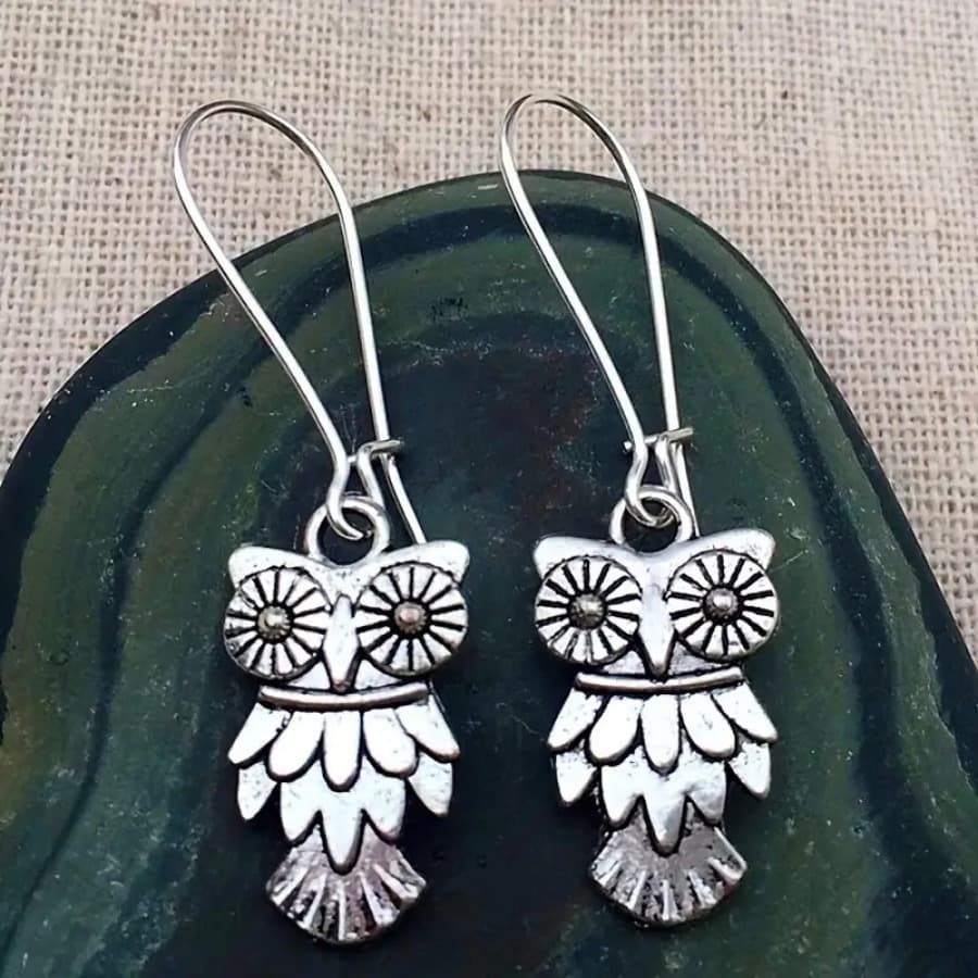 TEMU 2pcs Vintage Bohemian Owl Earrings For Men And Women, Thanksgiving Gifts For Relatives , Christmas Gifts, Daily Gifts For Ladies