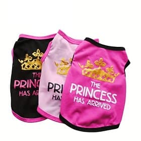 Dog Cat Vest Fashion Casual Winter Breathable Soft Washable Comfortable Outdoor Casual Daily Dog Clothing for Bichon Frise Pomeranian Baby Pet Papillon Small