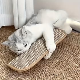 Cat Toy Scratching Pad Cat Toy Game Pillow and Cat Scratching Pad for Solo Play and Intimate Interaction to Keep Your Feline Friend Happy and Soothing, Feline