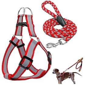 Dog Leash, Anti-Pull Dog Harness, Reflective Nylon Dog Vest, Training Leash, Suitable for Small Dogs