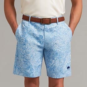 Herre Geometrisk Kokosnøttre Abstrakt kunst Shorts Casual shorts Shorts til golfbruk Medium Midje Klassisk Arbeid Strand Sport Utendørs Flate shorts med fire