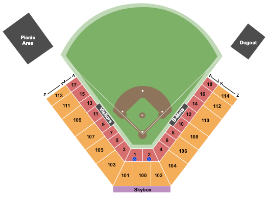 Binghamton Rumble Ponies vs. Chesapeake Baysox